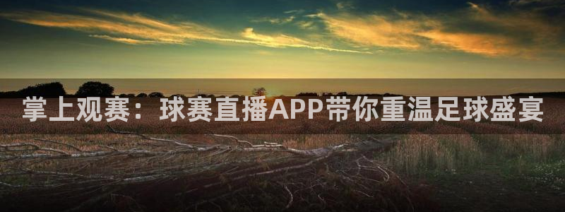  意昂体育app正版下载官网：掌上观赛：球赛直播APP带你重温