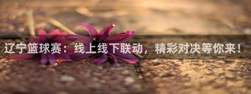  意昂体育是正规平台的吗：辽宁篮球赛：线上线下联动，精彩对决等