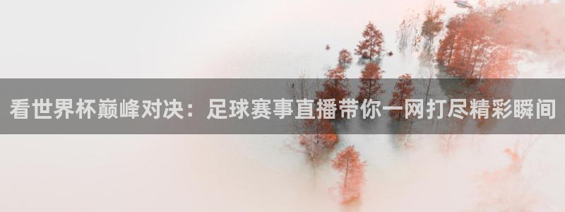 意昂平台官网：看世界杯巅峰对决：足球