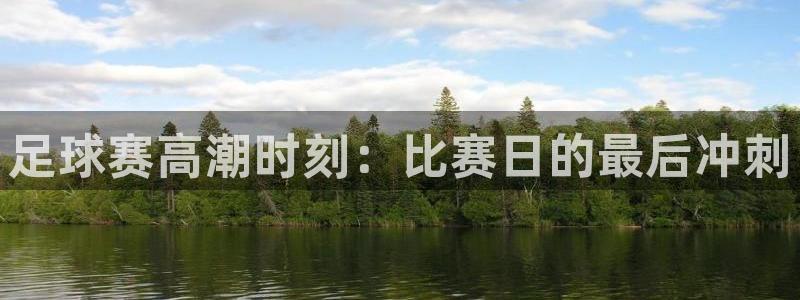 意昂体育网页登录入口入口官网网页版：
