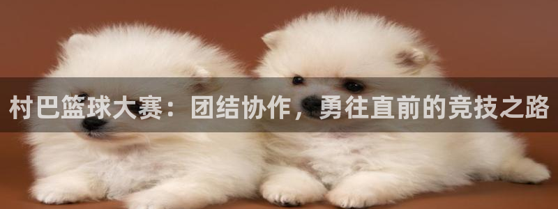 意昂体育app正版下载安装：村巴篮球大赛：团结协作，勇往直前