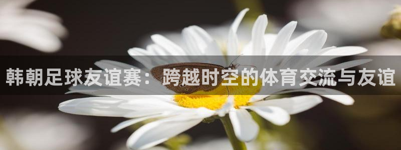 意昂体育app正版下载官网：韩朝足球
