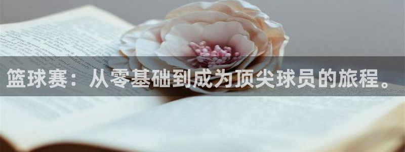 意昂平台登录入口最新版本介绍：篮球赛