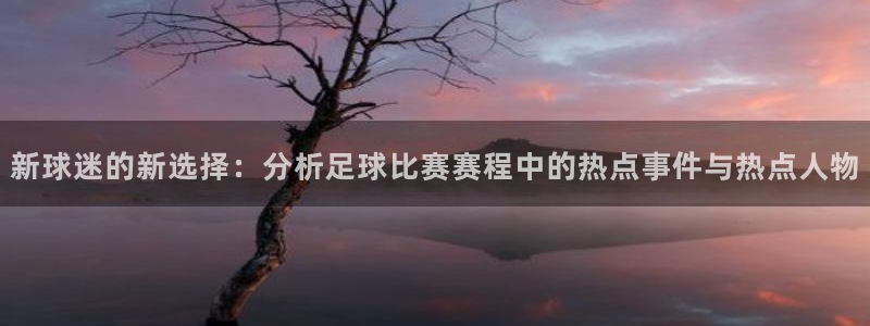 意昂登录：新球迷的新选择：分析足球比