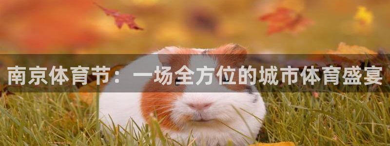 意昂登录：南京体育节：一场全方位的城