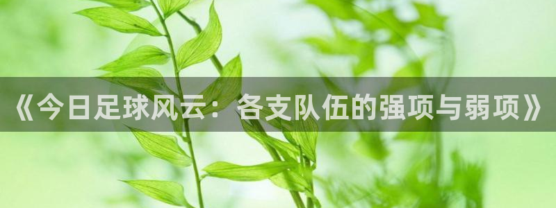  意昂平台官网：《今日足球风云：各支队伍的强项与弱项》