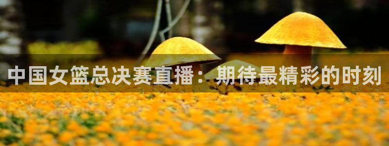  意昂平台登录入口2025：中国女篮总决赛直播：期待最精彩的时