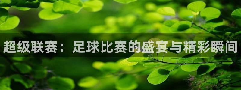  意昂体育app官方下载安装：超级联赛：足球比赛的盛宴与精彩瞬