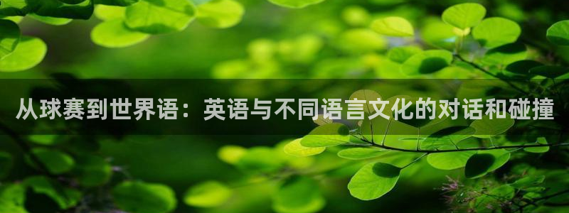  意昂体育app正版下载官网：从球赛到世界语：英语与不同语言文