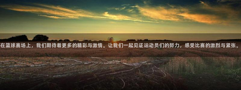 意昂体育官网：在篮球赛场上，我们期待