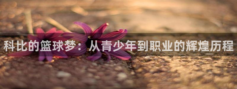 意昂平台登录入口最新版本介绍：科比的