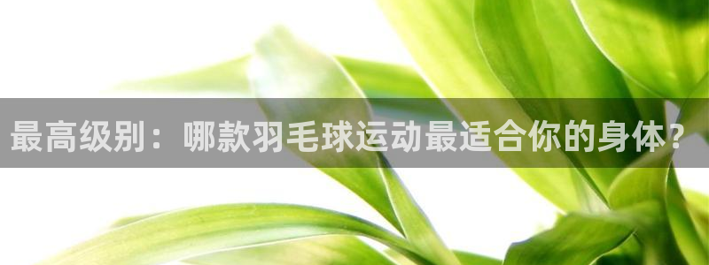 意昂体育app正版下载官网：最高级别