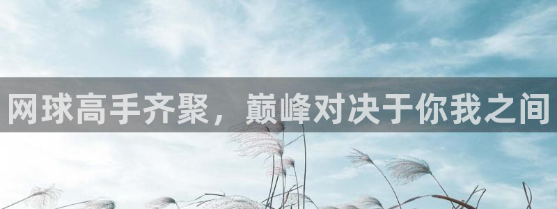  意昂平台登录方法：网球高手齐聚，巅峰对决于你我之间