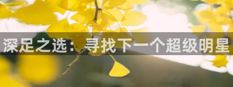  意昂体育网页登录入口入口官网网页版：深足之选：寻找下一个超级