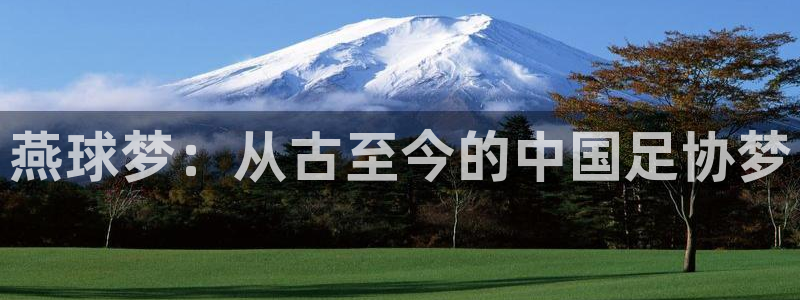  意昂体育app官方网站入口在线观看：燕球梦：从古至今的中国足