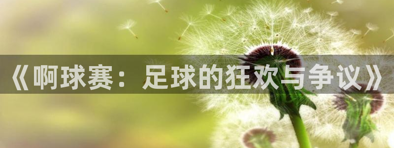 意昂体育网页登录入口入口官网网页版：《啊球赛：足球的狂欢与争