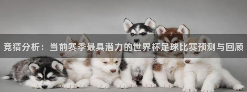  意昂官网注册平台：竞猜分析：当前赛季最具潜力的世界杯足球比赛