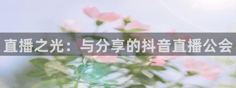 黑白篮球直播：直播之光：与分享的抖音直播公会