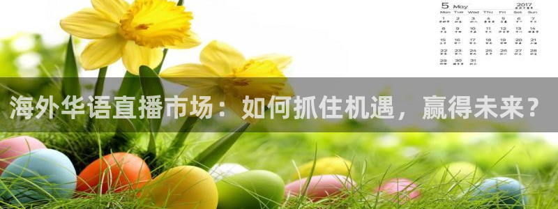 黑白足球比赛直播：海外华语直播市场：如何抓住机遇，赢得未来？