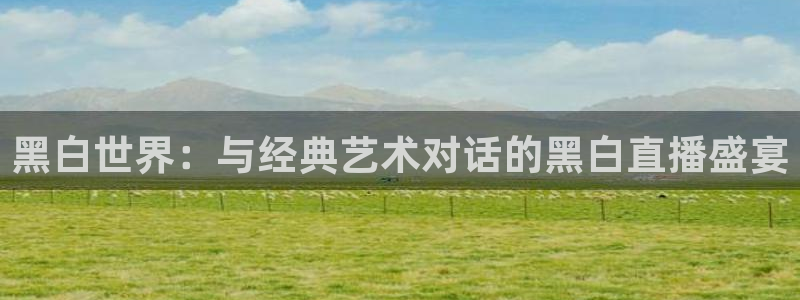 黑白体育app下载：黑白世界：与经典艺术对话的黑白直播盛宴