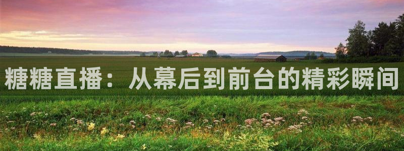 黑白直播体育直播app下载：糖糖直播：从幕后到前台的精彩瞬间