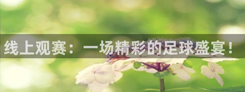 足球比赛黑白直播：线上观赛：一场精彩的足球盛宴！