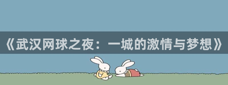 黑白体育nba直播：《武汉网球之夜：一城的激情与梦想》