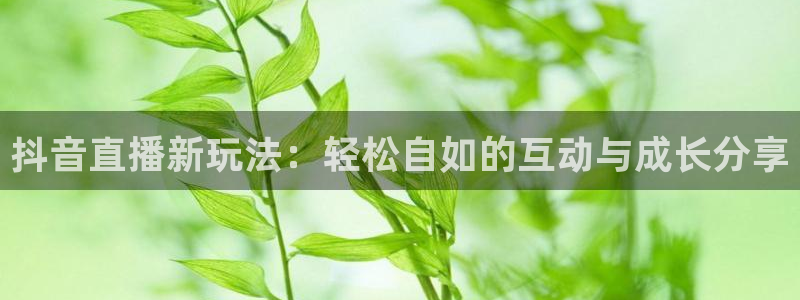 黑白直播nba直播免费：抖音直播新玩法：轻松自如的互动与成长分享