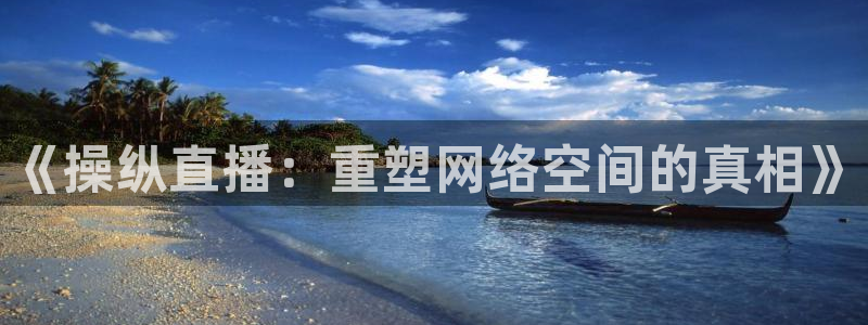 nba黑白直播免费：《操纵直播：重塑网络空间的真相》