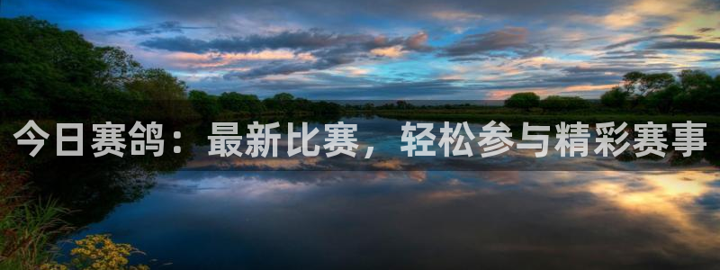 黑白篮球直播免费观看：今日赛鸽：最新比赛，轻松参与精彩赛事