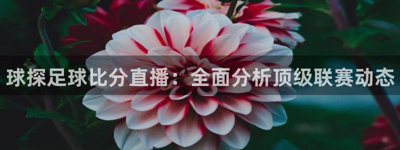 黑白直播体育nba直播下载手机版：球探足球比分直播：全面分析顶级联赛动态