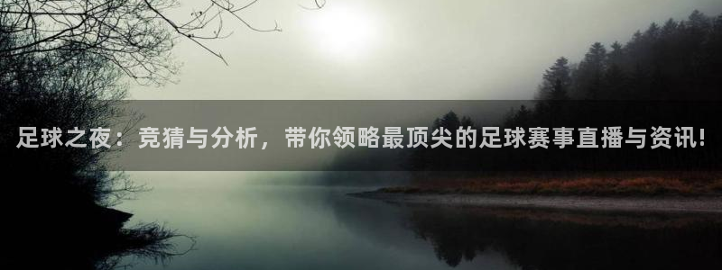 黑白体育免费观看：足球之夜：竞猜与分析，带你领略最顶尖的足球赛事直播与资讯!