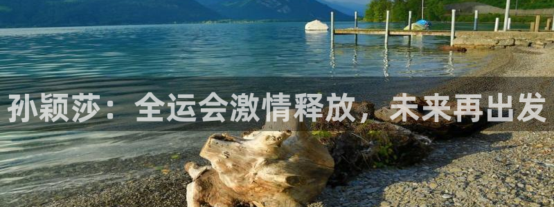 黑白体育 直播：孙颖莎：全运会激情释放，未来再出发