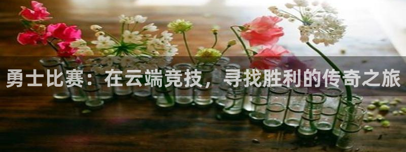 nba直播黑白体育：勇士比赛：在云端竞技，寻找胜利的传奇之旅