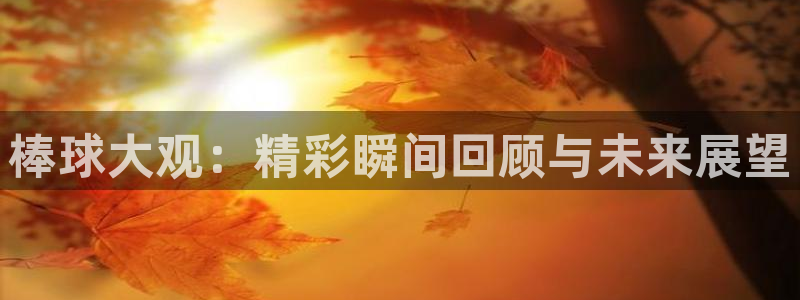 nba黑白体育免费直播下载：棒球大观：精彩瞬间回顾与未来展望