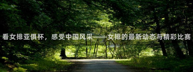 黑白直播nba在线观看回放：看女排亚俱杯，感受中国风采——女排的最新动态与精彩比赛