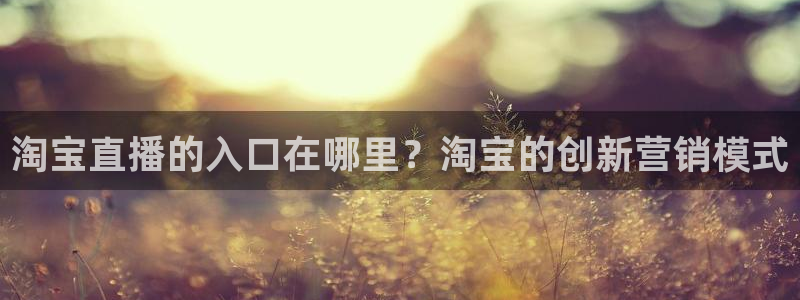 nba在线黑白直播：淘宝直播的入口在哪里？淘宝的创新营销模式
