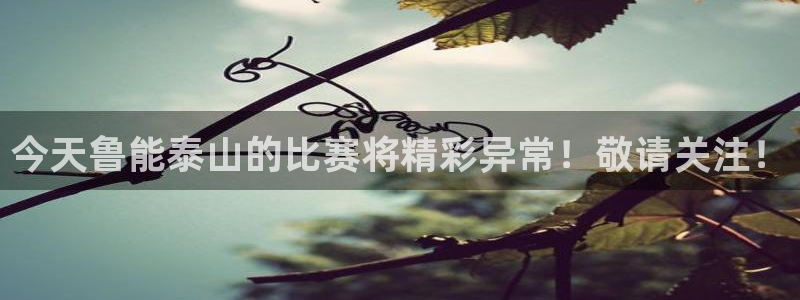 nba黑白在线直播：今天鲁能泰山的比赛将精彩异常！敬请关注！
