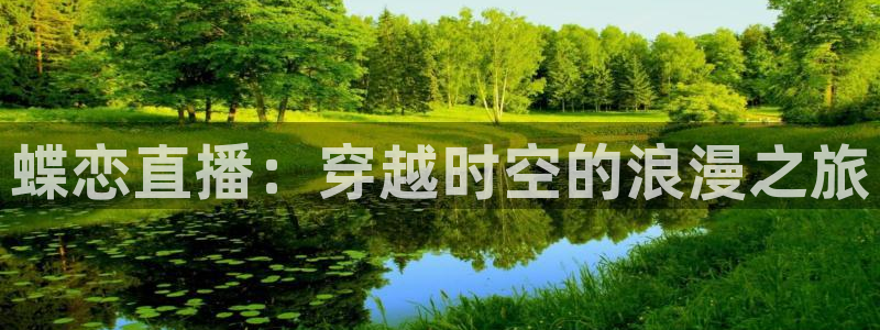 黑白篮球直播免费观看：蝶恋直播：穿越时空的浪漫之旅