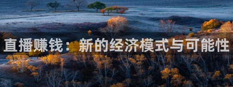 黑白体育：直播赚钱：新的经济模式与可能性