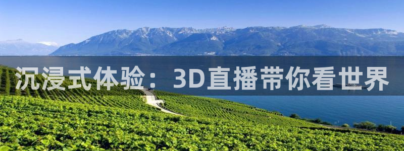 黑白体育nba：沉浸式体验：3D直播带你看世界
